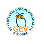 logo GEV